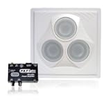 Conference Room Sound System 1 Vector Ceiling Speaker, 1 Spring-Loaded Output Mixer Amplifier
