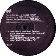 THE ORB / HUGE EVER GROWING BRAIN (STARECASE REMIX)