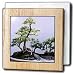 Trees - Bonsai Tree - Tile Napkin Holders