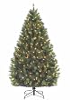 7' Pre-Lit Long Needle Syndey Pine Artificial Christmas Tree - Clear Lights