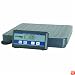Pelouze Heavy- Duty Remote Display Digital Freight Scale, 150lb Capacity, 12 X 12-1/2 Inches (4010)