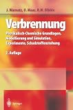 Verbrennung: Physikalisch-Chemische Grundlagen, Modellierung Und Simulation, Experimente, Schadstoffentstehung
