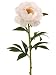 New - Club Pack of 12 Artificial Light Peach Peony Silk Flower Sprays 28 by Gordon