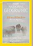 National Geographic Magazine November 1994 Buffalo