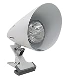 ���U�� �N���b�v���C�g �p�[���z���C�g CR11LPW