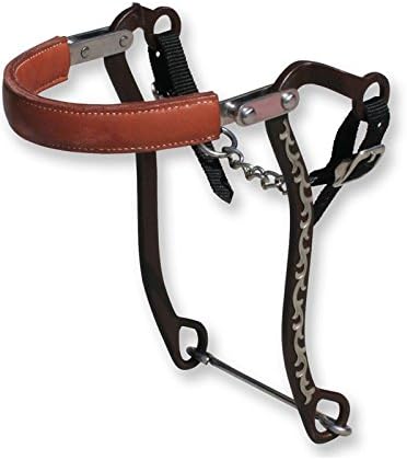 Professionals Choice Bob Avila Mechanical Hackamore Floral AVB-132