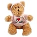 City of Chicago Pink Hooded Sweatshirt Stuffed Bear