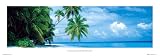 Filalhohi Island, Maldives (Palm Trees Over Water) Art Poster Print - 12 X 36