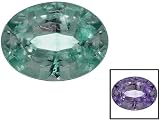 Jewelry : MIN .30CT MM VARIES OVAL ALEXANDRITE