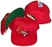 San Francisco 49ers Red Snapback Adjustable Plastic Snap Back Hat / Cap