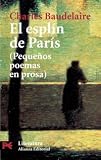 Le Spleen de Paris
