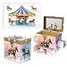 Carousel Jewelry Music Box by Enchantmints