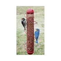 17" Spiral Peanut Feeder in Red