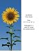 Wallpaper Washington Wallcovering Idealdecor Wall Murals & Door Murals Sunflower 509