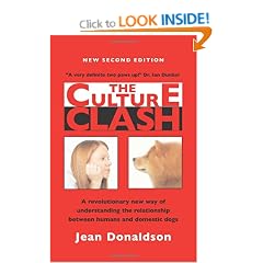 The Culture Clash