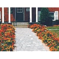 Marigold Border Seed Garden Mat - Instant Garden, Roll N Grow - Seeded Mat - Just Roll and Grow (Easy and Hassle Free) Grow Flowers Quickly and Easily