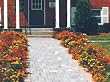 Marigold Border Seed Garden Mat - Instant Garden, Roll N Grow - Seeded Mat - Just Roll and Grow! (Easy & Hassle Free!) Grow Flowers Quickly & Easily!