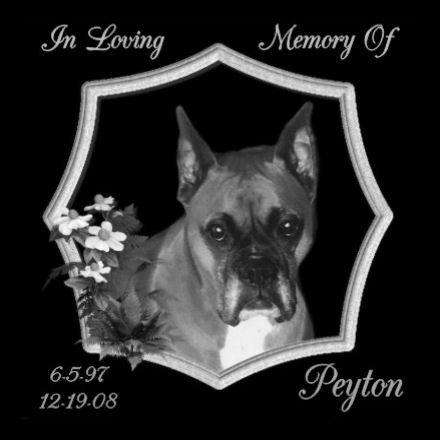6 x 6 Lazer Gifts Personalized Black Granite Pet Memorial Marker Style Peyton
