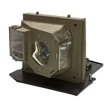 Optoma BL-FS300B Replacement Lamp for HD81/HD80/HD81-LV/HD8000/HD803/HD803