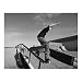 Rollerblade Wall Mural - 8x10.5'