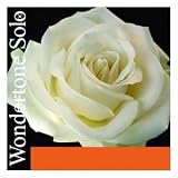Pirastro Wondertone Solo 4/4 Violin String Set - Medium Gauge with Ball End Steel E