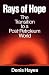 Rays of Hope: The Transition to a Post-Petroleum World (Norton Worldwatch books)