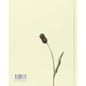 Ente, Tod und Tulpe. Kleine Geschenk-Ausgabe