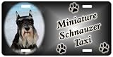 Minature Schnauzer cropped black Personalized 