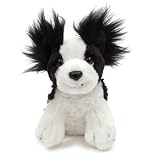 Puppy Passion Pepper Papillon Sitting 6