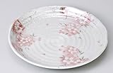 パール間取り桜5.0皿 10枚組　【美濃焼　和風パスタ皿】