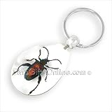 Clear Acrylic Amber Insect Jewel Frog Beetle Keyring