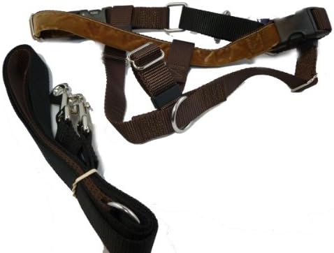 Freedom No Pull Harness and Leash Training Kit Brown Large