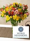 World Neighbors Peruvian Lilies, Eco-Friendly - Red, Yellow, and Pink Lily Bouquet