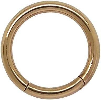 ACESTEELA Pair of 316L Surgical Stainless Steel Septum clicker Nose Ring Lip Ring hinged Hoop Earrings 1.2mm x 8mm