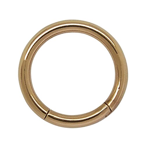 ACESTEELA Pair of 316L Surgical Stainless Steel Septum clicker Nose Ring Lip Ring hinged Hoop Earrings 1.2mm x 8mm