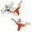Texas Longhorns