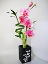 9GreenBox - Live Spiral 3 Style Lucky Bamboo Plant Arrangement with Orchid & Ceramic Vase