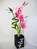 9GreenBox - Live Spiral 3 Style Lucky Bamboo Plant Arrangement with Orchid & Ceramic Vase by 9GreenBox.com Discounts