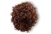Star Power The Doctor Curly Rocker Curly Costume Wig Adult One Size, Brown