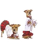 School Puppy Costume
