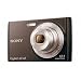 Sony DSCW510 Cyber-shot Digital Still Camera - Black (12.1MP, 4x Optical Zoom) 2.7 inch LCD