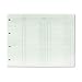 Wilson Jones GN2B Green Double Entry Ledger Form Paper, Both Sides Alike, Punched for Post Binders, 9-1/4" X 11-7/8", 100 Sheets/Pack