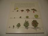 Organic Living Book