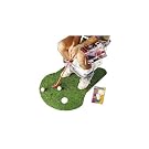 Potty putter