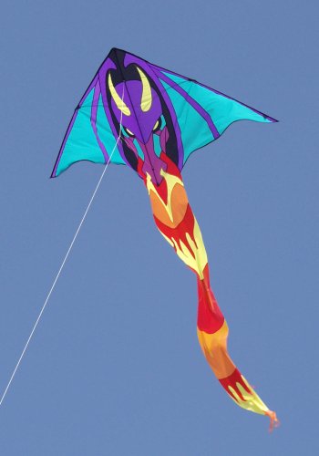 Childrens Toyshop  Toys : Discovery Dragon Kite