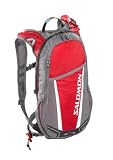 Salomon Men's XA 10+3 Exp Insulated Set Bag, Bright Red/Detroit, One Size