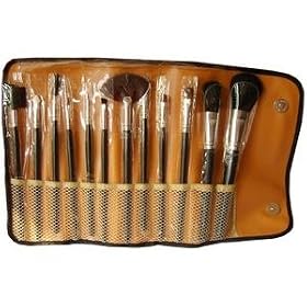 Glow 12 Piece Make up Brush Set - Best Quality at Best Price!!!!