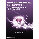 Adobe After Effects トレーニングブック サンプルデータを触りながら学べるハンズオン形式の解説書