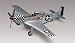 1/48 P-51D Mustang