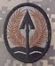 Multinational Corps Iraq ACU Patch - Foliage Green
